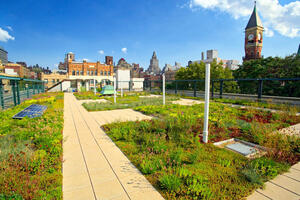 Green Roofs